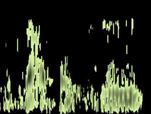 fragmented green sound waves on black background